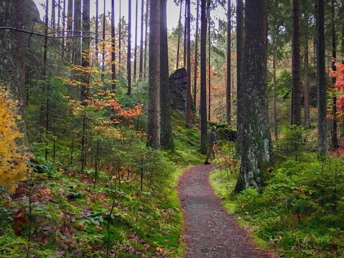 Harz Hotel Und Gaestehaus Am Bornweg Bad Sachsa Kültér fotó