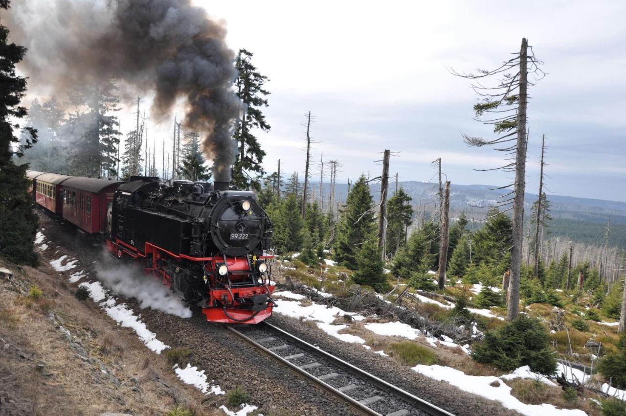 Harz Hotel Und Gaestehaus Am Bornweg Bad Sachsa Kültér fotó